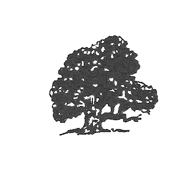 tree icon